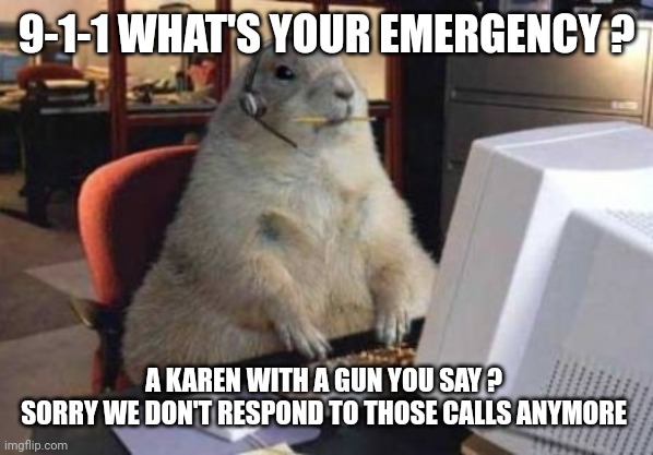 Call Center Animal | 9-1-1 WHAT'S YOUR EMERGENCY ? A KAREN WITH A GUN YOU SAY ? 
SORRY WE DON'T RESPOND TO THOSE CALLS ANYMORE | image tagged in call center animal | made w/ Imgflip meme maker