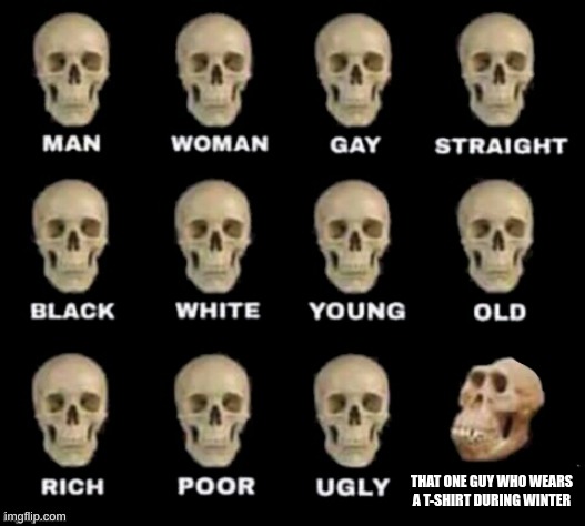 idiot skull | THAT ONE GUY WHO WEARS A T-SHIRT DURING WINTER | image tagged in idiot skull | made w/ Imgflip meme maker