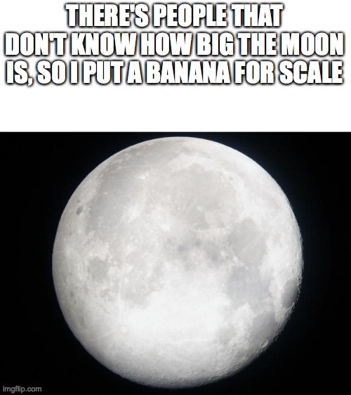 Full Moon | THERE'S PEOPLE THAT DON'T KNOW HOW BIG THE MOON IS, SO I PUT A BANANA FOR SCALE | image tagged in full moon | made w/ Imgflip meme maker