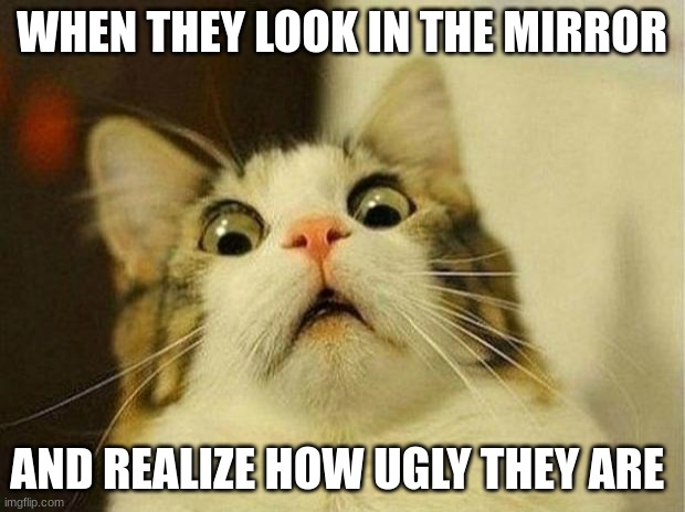 >:) | WHEN THEY LOOK IN THE MIRROR; AND REALIZE HOW UGLY THEY ARE | image tagged in memes,scared cat | made w/ Imgflip meme maker