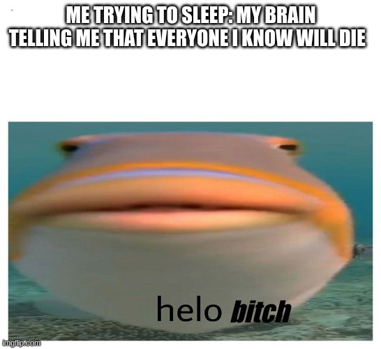 WHY THO | ME TRYING TO SLEEP: MY BRAIN TELLING ME THAT EVERYONE I KNOW WILL DIE; bitch | image tagged in helo fish | made w/ Imgflip meme maker