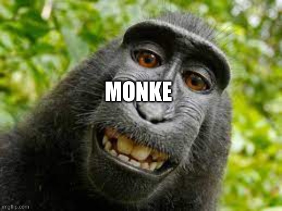 Monke | MONKE | image tagged in monke | made w/ Imgflip meme maker