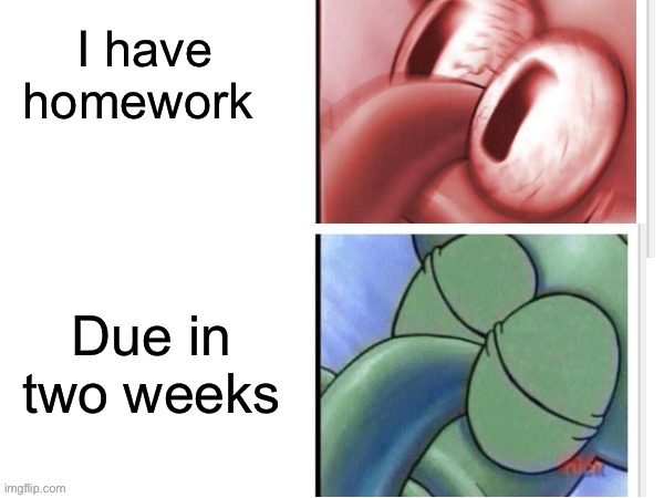 I have to make a literal book for a class | I have homework; Due in two weeks | image tagged in squidward sleeping reverse,brain before sleep,memes | made w/ Imgflip meme maker