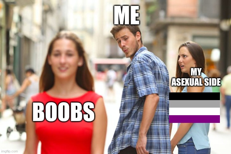 Distracted Boyfriend | ME; MY ASEXUAL SIDE; BOOBS | image tagged in memes,distracted boyfriend | made w/ Imgflip meme maker