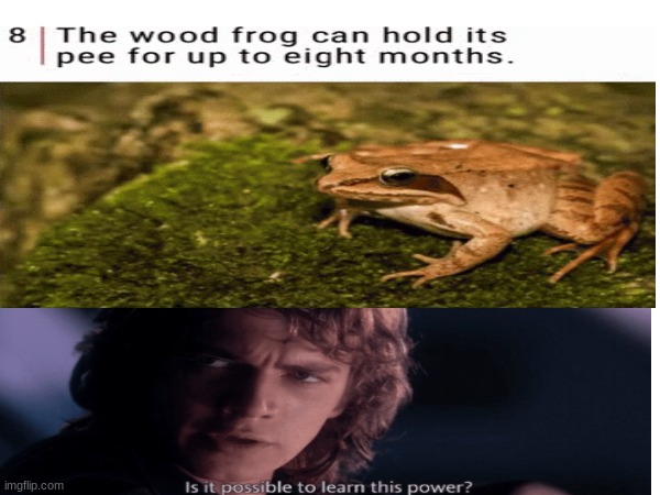 I feel like this is most people | image tagged in star wars,is it possible to learn this power | made w/ Imgflip meme maker