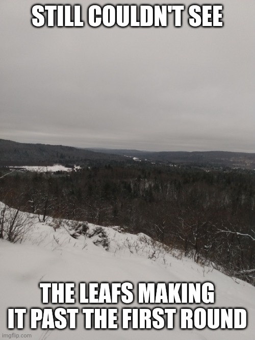 STILL COULDN'T SEE; THE LEAFS MAKING IT PAST THE FIRST ROUND | image tagged in toronto maple leafs | made w/ Imgflip meme maker