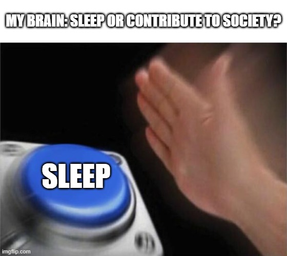 Blank Nut Button | MY BRAIN: SLEEP OR CONTRIBUTE TO SOCIETY? SLEEP | image tagged in memes,blank nut button | made w/ Imgflip meme maker