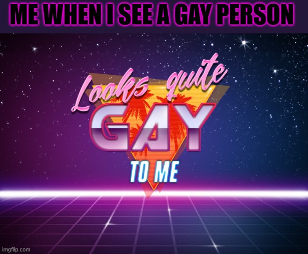 Looks quite gay to me | ME WHEN I SEE A GAY PERSON | image tagged in looks quite gay to me | made w/ Imgflip meme maker