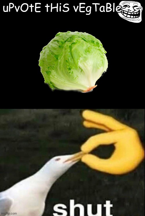 trends be like" | uPvOtE tHiS vEgTaBle | image tagged in shut,lettuce | made w/ Imgflip meme maker