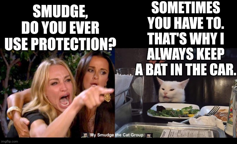 SOMETIMES YOU HAVE TO. THAT'S WHY I ALWAYS KEEP A BAT IN THE CAR. SMUDGE, DO YOU EVER USE PROTECTION? | image tagged in smudge the cat | made w/ Imgflip meme maker