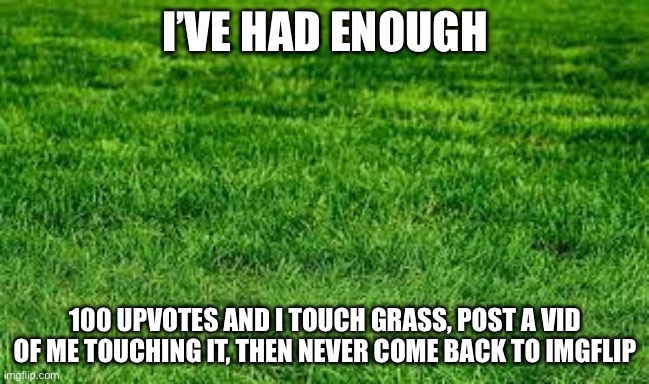 I’m serious enough is enough | I’VE HAD ENOUGH; 100 UPVOTES AND I TOUCH GRASS, POST A VID OF ME TOUCHING IT, THEN NEVER COME BACK TO IMGFLIP | image tagged in touching grass,bye | made w/ Imgflip meme maker