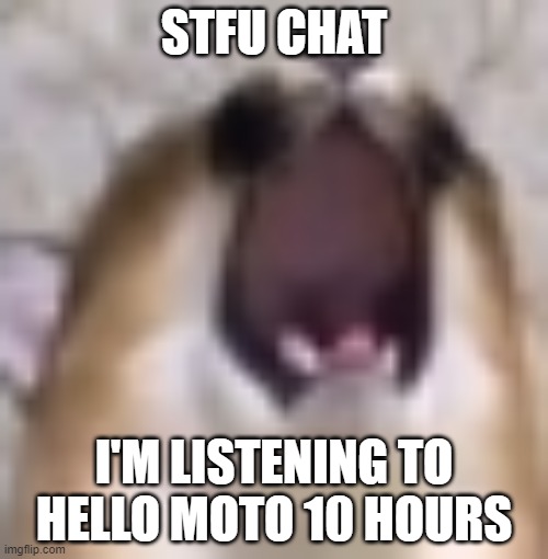 MY BALS!!! | STFU CHAT; I'M LISTENING TO HELLO MOTO 10 HOURS | image tagged in my bals | made w/ Imgflip meme maker