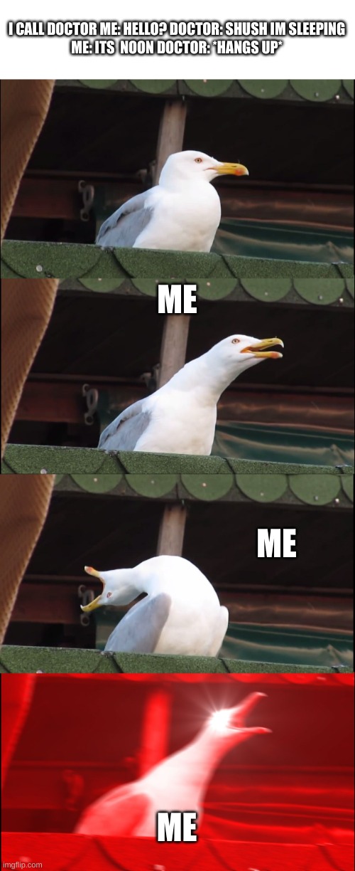 Inhaling Seagull Meme | I CALL DOCTOR ME: HELLO? DOCTOR: SHUSH IM SLEEPING
ME: ITS  NOON DOCTOR: *HANGS UP*; ME; ME; ME | image tagged in memes,inhaling seagull | made w/ Imgflip meme maker