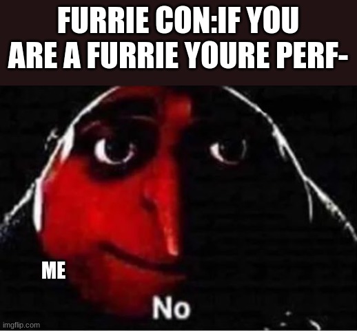 No | FURRIE CON:IF YOU ARE A FURRIE YOURE PERF-; ME | image tagged in gru no | made w/ Imgflip meme maker