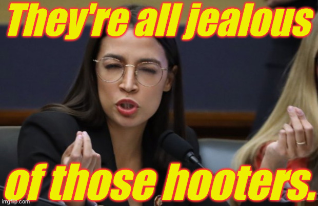 aoc Spicy Meatball | They're all jealous of those hooters. | image tagged in aoc spicy meatball | made w/ Imgflip meme maker