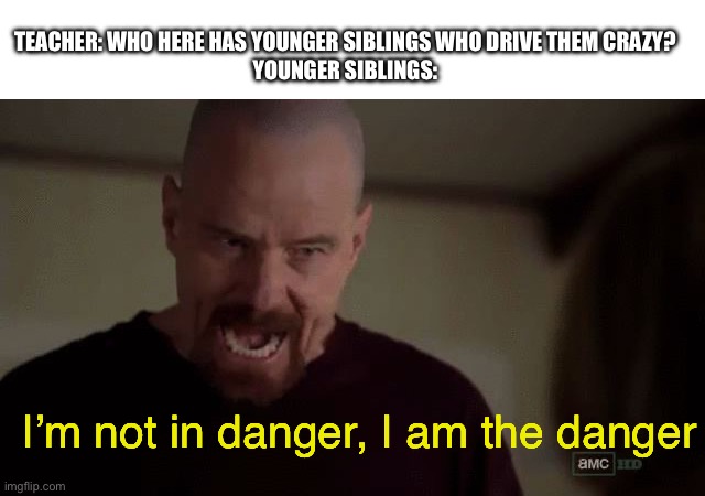I am the danger | TEACHER: WHO HERE HAS YOUNGER SIBLINGS WHO DRIVE THEM CRAZY?
YOUNGER SIBLINGS:; I’m not in danger, I am the danger | image tagged in i am the danger | made w/ Imgflip meme maker