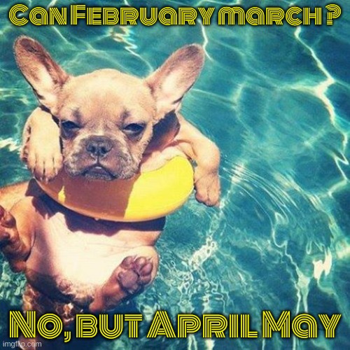 Lol so funny hahahaha | Can February march ? No, but April May | image tagged in summer is here dog pug | made w/ Imgflip meme maker