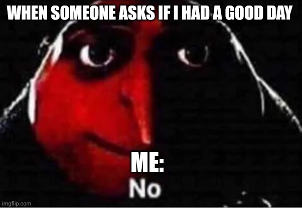 When someone asks if I had a good day | WHEN SOMEONE ASKS IF I HAD A GOOD DAY; ME: | image tagged in gru no | made w/ Imgflip meme maker