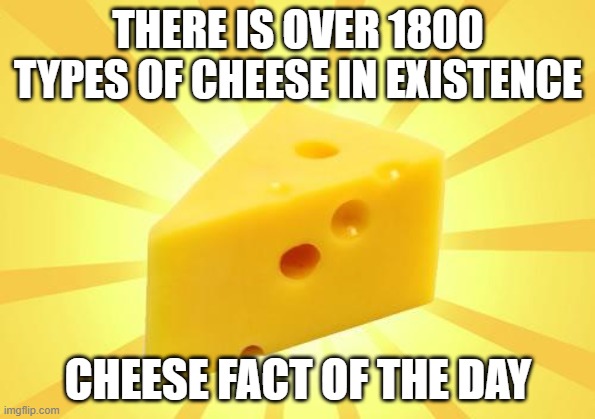 Cheese Time | THERE IS OVER 1800 TYPES OF CHEESE IN EXISTENCE; CHEESE FACT OF THE DAY | image tagged in cheese time | made w/ Imgflip meme maker