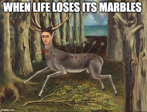 WHEN LIFE LOSES ITS MARBLES | image tagged in funny animals | made w/ Imgflip meme maker