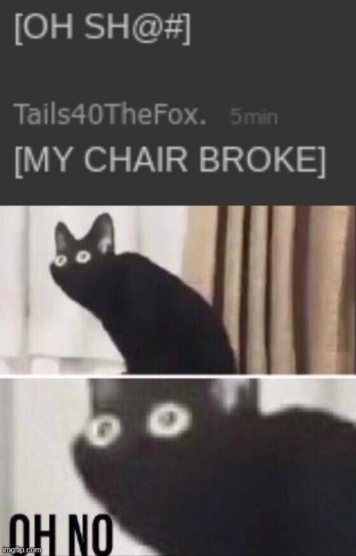 ITS A SCHOOL CHAIR- | image tagged in oh no cat | made w/ Imgflip meme maker