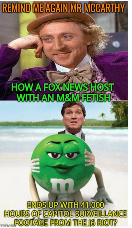 No public access of Government transparency | image tagged in maga,fox news,riots,traitors,liars | made w/ Imgflip meme maker