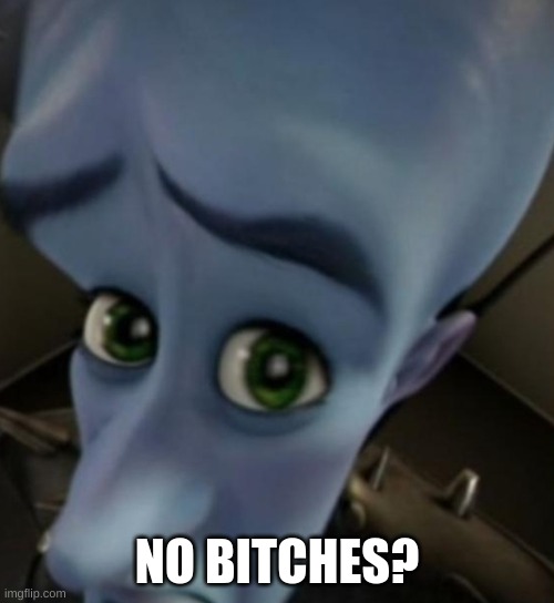 well read it | NO BITCHES? | image tagged in megamind no bitches | made w/ Imgflip meme maker