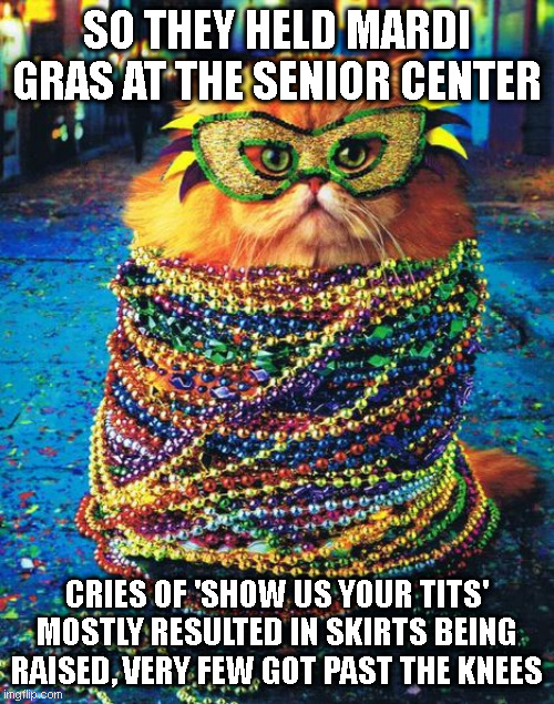 Senior Center Mardi Gras | SO THEY HELD MARDI GRAS AT THE SENIOR CENTER; CRIES OF 'SHOW US YOUR TITS' MOSTLY RESULTED IN SKIRTS BEING RAISED, VERY FEW GOT PAST THE KNEES | image tagged in mardi gras cat | made w/ Imgflip meme maker