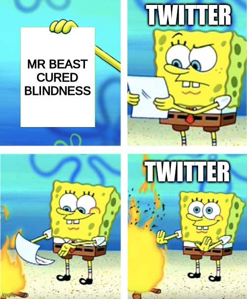 why do cancelers have the worst opinions over nothing | TWITTER; MR BEAST CURED BLINDNESS; TWITTER | image tagged in spongebob burning paper,memes | made w/ Imgflip meme maker