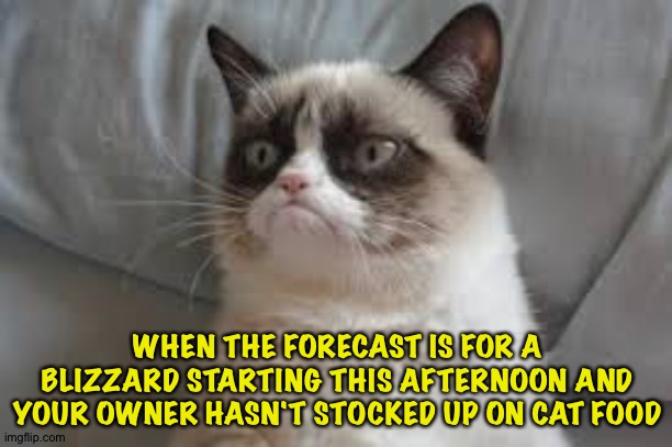 You didn't stock up??? | WHEN THE FORECAST IS FOR A BLIZZARD STARTING THIS AFTERNOON AND YOUR OWNER HASN'T STOCKED UP ON CAT FOOD | image tagged in grumpy cat | made w/ Imgflip meme maker