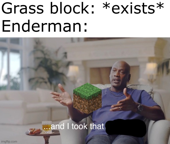 endermans | Grass block: *exists*; Enderman: | image tagged in and i took that personally | made w/ Imgflip meme maker