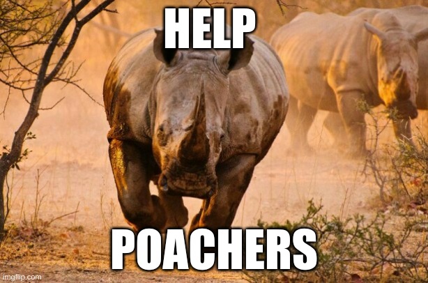 Rhino  | HELP; POACHERS | image tagged in rhino | made w/ Imgflip meme maker