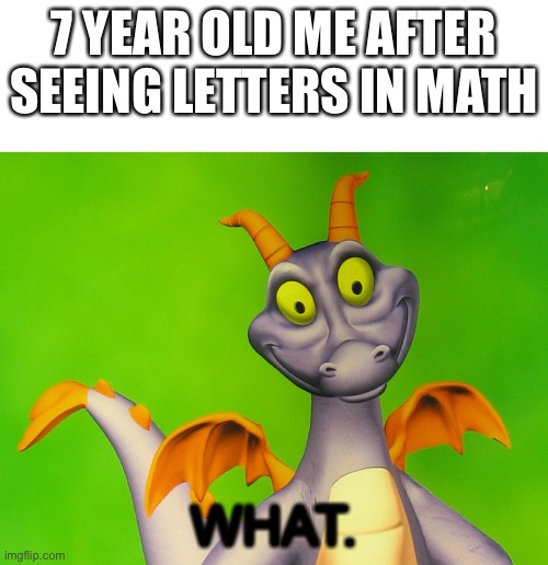 Algebra sucks | 7 YEAR OLD ME AFTER SEEING LETTERS IN MATH; WHAT. | image tagged in memes | made w/ Imgflip meme maker
