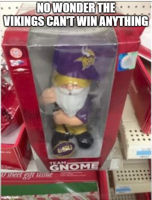 Mascot Not | NO WONDER THE VIKINGS CAN'T WIN ANYTHING | image tagged in you had one job | made w/ Imgflip meme maker