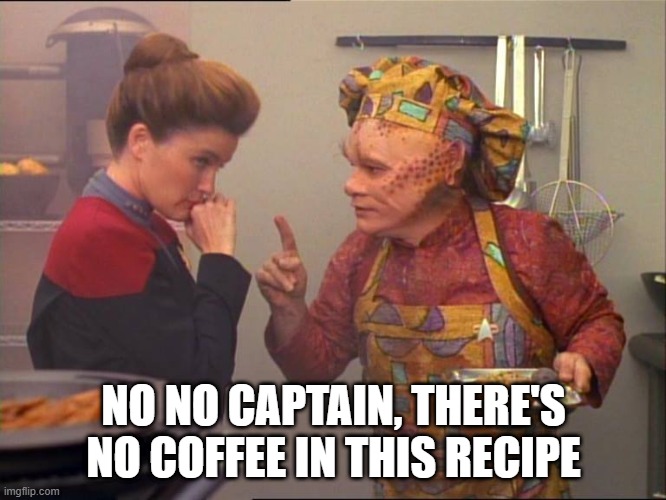 She Likes Her Coffee | NO NO CAPTAIN, THERE'S NO COFFEE IN THIS RECIPE | image tagged in neelix star trek | made w/ Imgflip meme maker