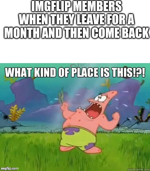It's kinda true | IMGFLIP MEMBERS WHEN THEY LEAVE FOR A MONTH AND THEN COME BACK | image tagged in what kind of place is this | made w/ Imgflip meme maker