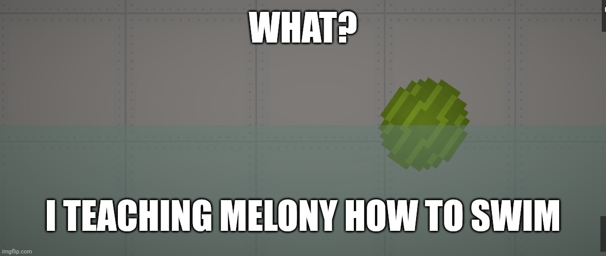 WHAT? I TEACHING MELONY HOW TO SWIM | image tagged in smg4 | made w/ Imgflip meme maker