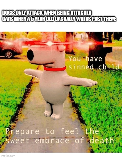  dies Imgflip