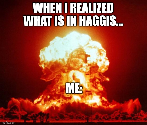 Haggis is made of what?!?!?!? | WHEN I REALIZED WHAT IS IN HAGGIS... ME: | image tagged in nuke | made w/ Imgflip meme maker