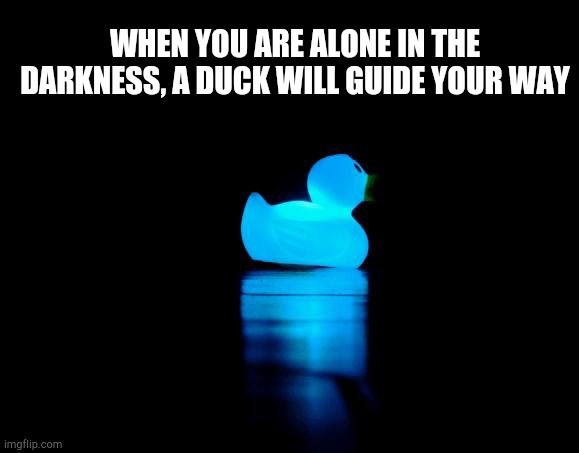 Duck duck glo | WHEN YOU ARE ALONE IN THE DARKNESS, A DUCK WILL GUIDE YOUR WAY | image tagged in ducks,duck | made w/ Imgflip meme maker
