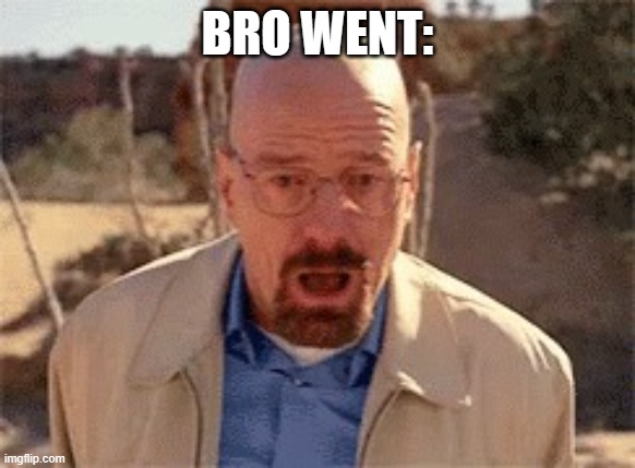 Walter White | BRO WENT: | image tagged in walter white | made w/ Imgflip meme maker