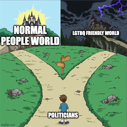 Anti lgtbq | NORMAL PEOPLE WORLD; LGTBQ FRIENDLY WORLD; POLITICIANS | image tagged in two paths | made w/ Imgflip meme maker