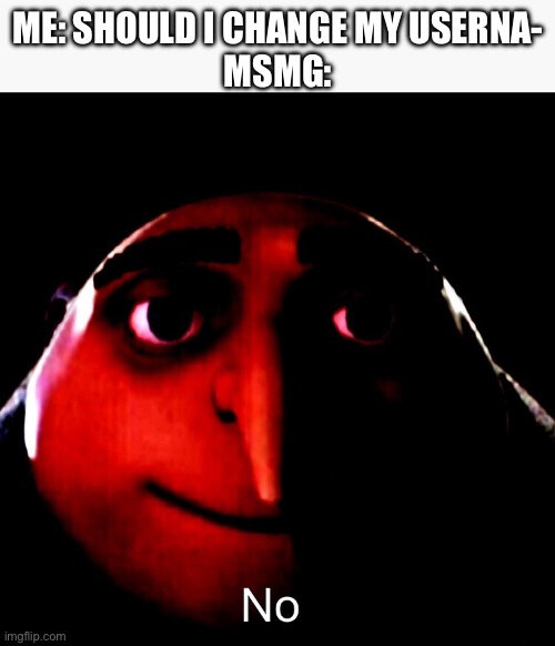 ME: SHOULD I CHANGE MY USERNA-
MSMG: | made w/ Imgflip meme maker