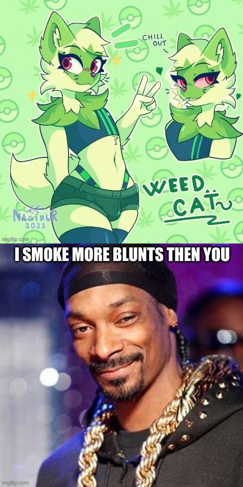 WHO WOULD WIN? | I SMOKE MORE BLUNTS THEN YOU | image tagged in furry art,snoop dogg | made w/ Imgflip meme maker