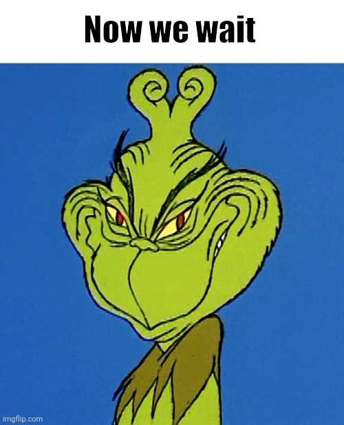 Grinch Smile | Now we wait | image tagged in grinch smile | made w/ Imgflip meme maker