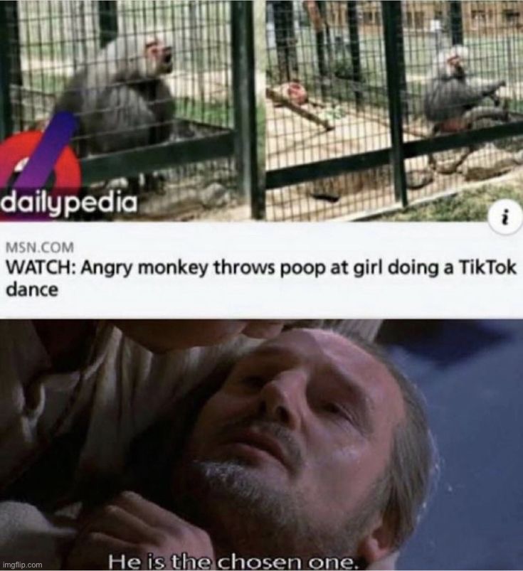 image tagged in memes | made w/ Imgflip meme maker