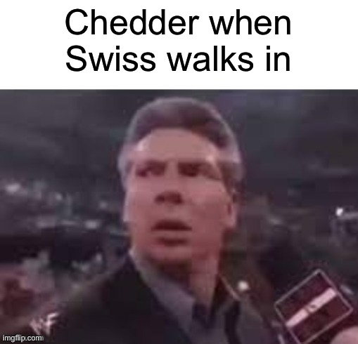 Your welcome Chedder | Chedder when Swiss walks in | image tagged in x when x walks in | made w/ Imgflip meme maker