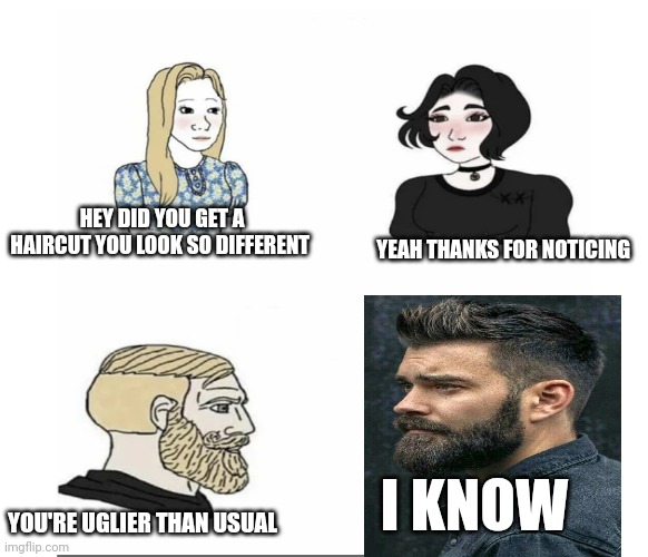 Idk | HEY DID YOU GET A HAIRCUT YOU LOOK SO DIFFERENT; YEAH THANKS FOR NOTICING; I KNOW; YOU'RE UGLIER THAN USUAL | image tagged in men vs women | made w/ Imgflip meme maker