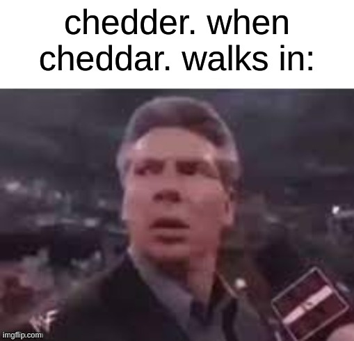 I STILL CANT GET OVER THE SPELLING MISTAKE I MADE | chedder. when cheddar. walks in: | image tagged in x when x walks in | made w/ Imgflip meme maker
