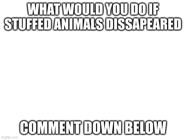 pls comment i wanna be curious | WHAT WOULD YOU DO IF STUFFED ANIMALS DISSAPEARED; COMMENT DOWN BELOW | image tagged in curious,question,what if,comment,good question | made w/ Imgflip meme maker